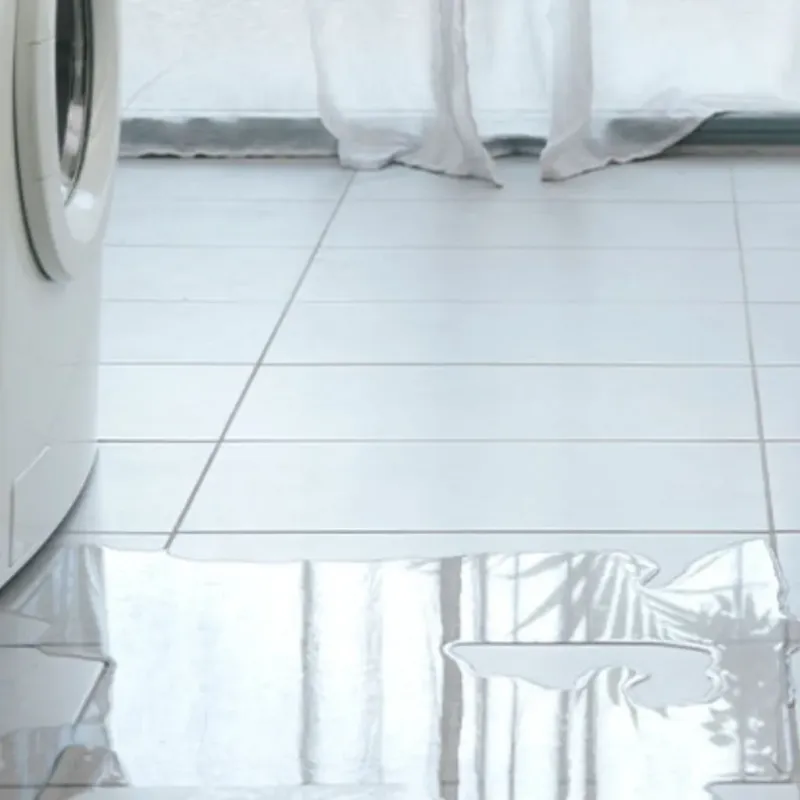 Appliance Leak Cleanup in Lake Villa, IL