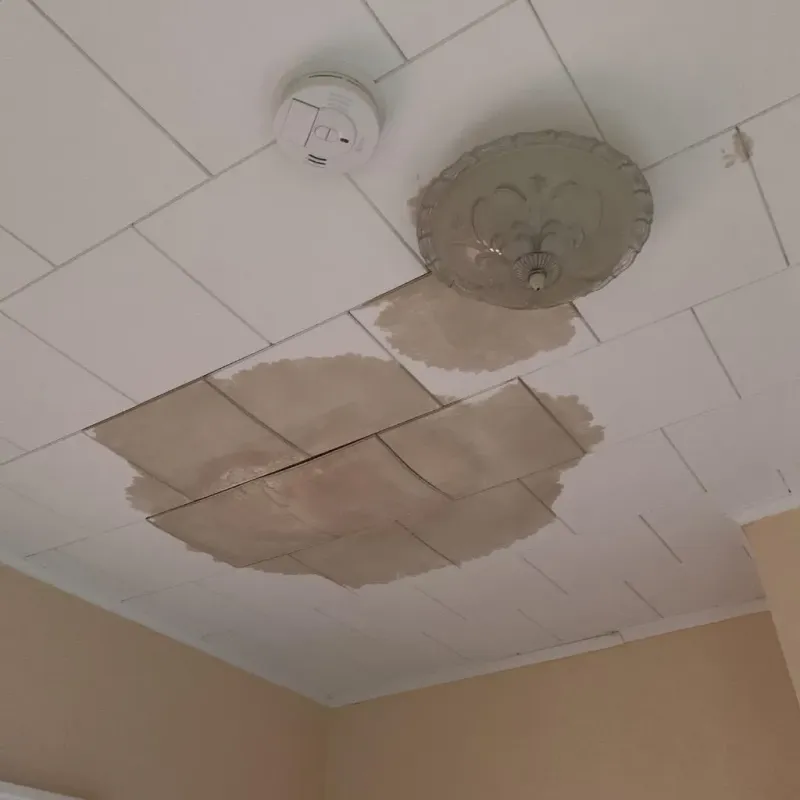 Ceiling Water Damage Repair in Lake Villa, IL