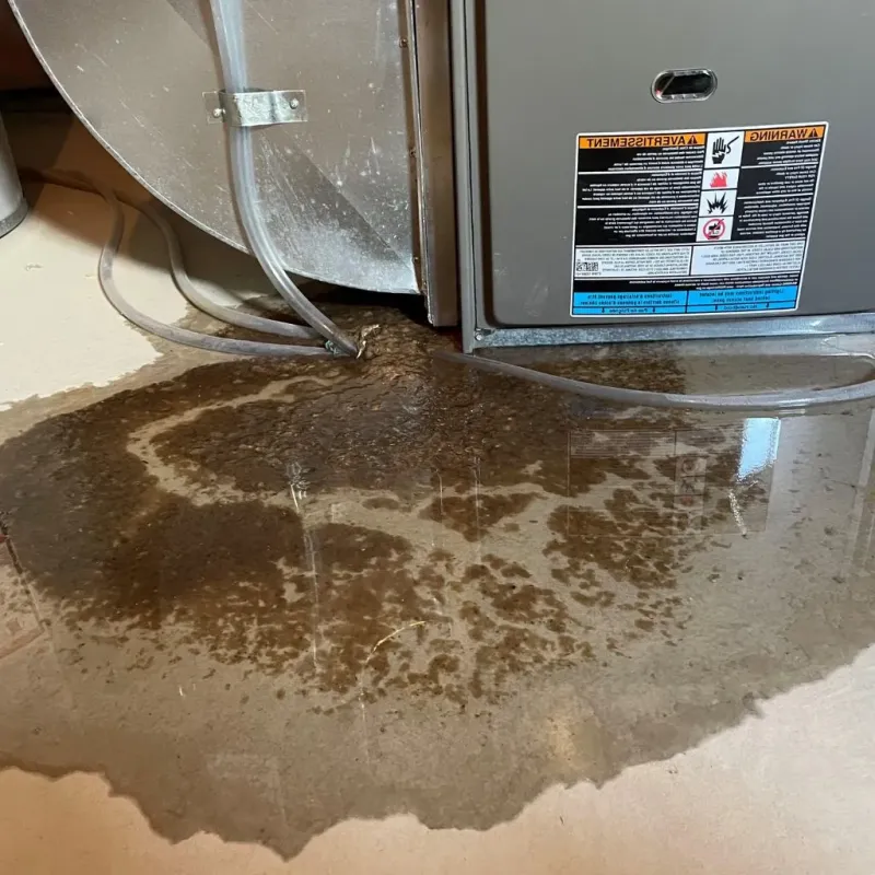 Pipe Burst and Leak Restoration in Lake Villa, IL